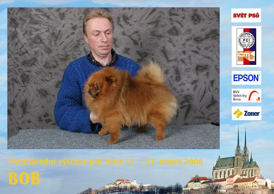 img00011.jpg