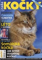 titulní strana