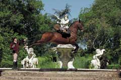 d‘arte Equestre