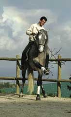 Morgado Lusitano