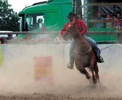 Top 10 Rodeo Corralu