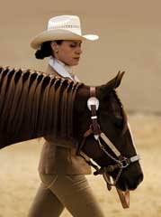 Showmanship at halter