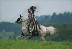 Koně indiánů 2