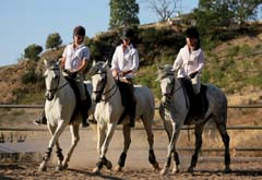 Centro Equestre La Luz