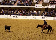 Futurity 2008