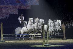 Equitana Hop Top Show