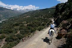 Vyjížďky v Sierra Nevada