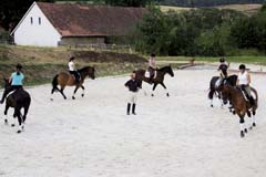 Výcvik koní: kruhy a obraty