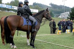 Koně u policie