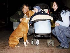 Pitbulteri�r pat�� k zku�en�m a odpov�dn�m lidem