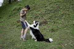 V�chova psem