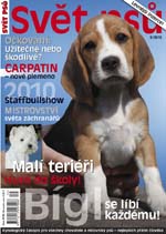 Tituln� strana